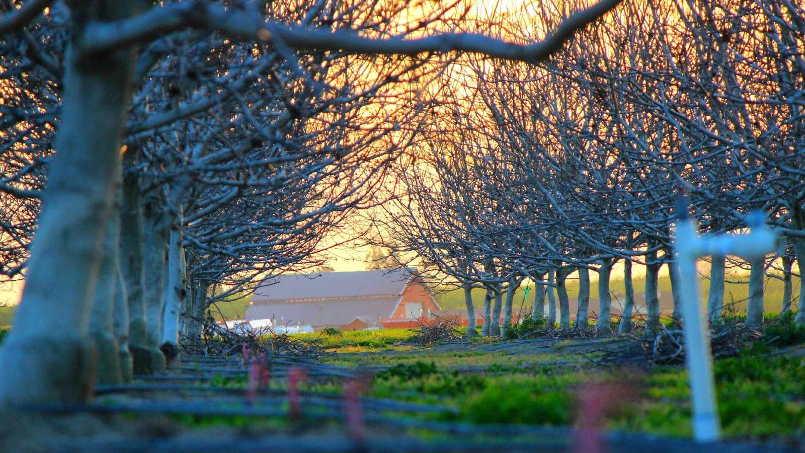 Iran Ceasefire Expiry, US Carrier Arrival, Oil at $95 — The Real Shape of Weekend Risk