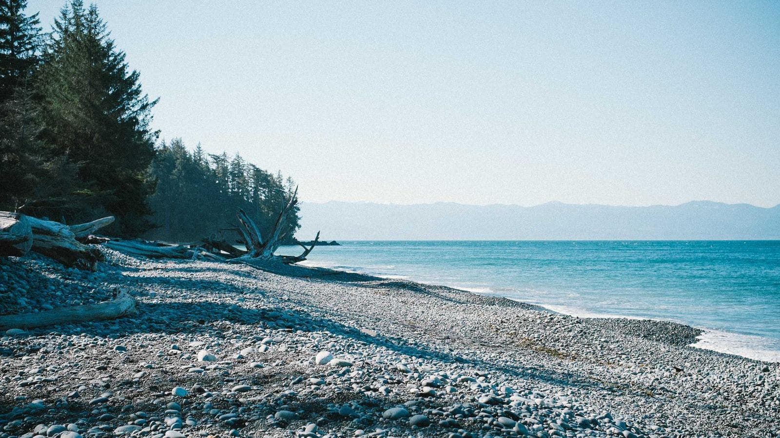 WTI $93, Brent $100 — Oil Is Killing Rate Cut Expectations