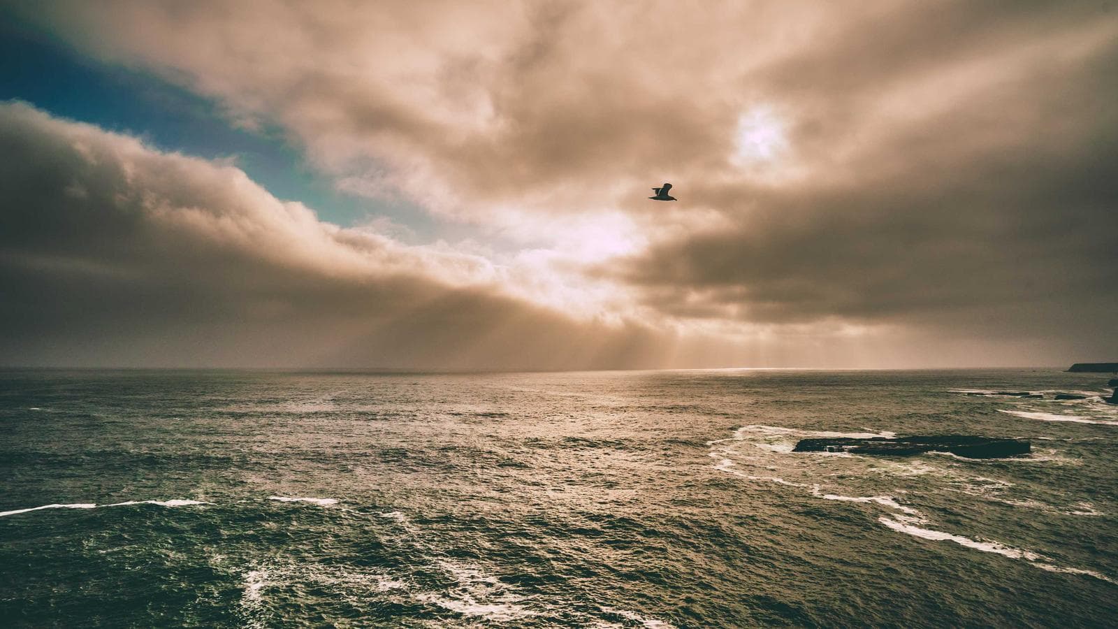 Strait of Hormuz Blockade: JP Morgan Warns of a 3-Day Countdown to Commodity Chaos