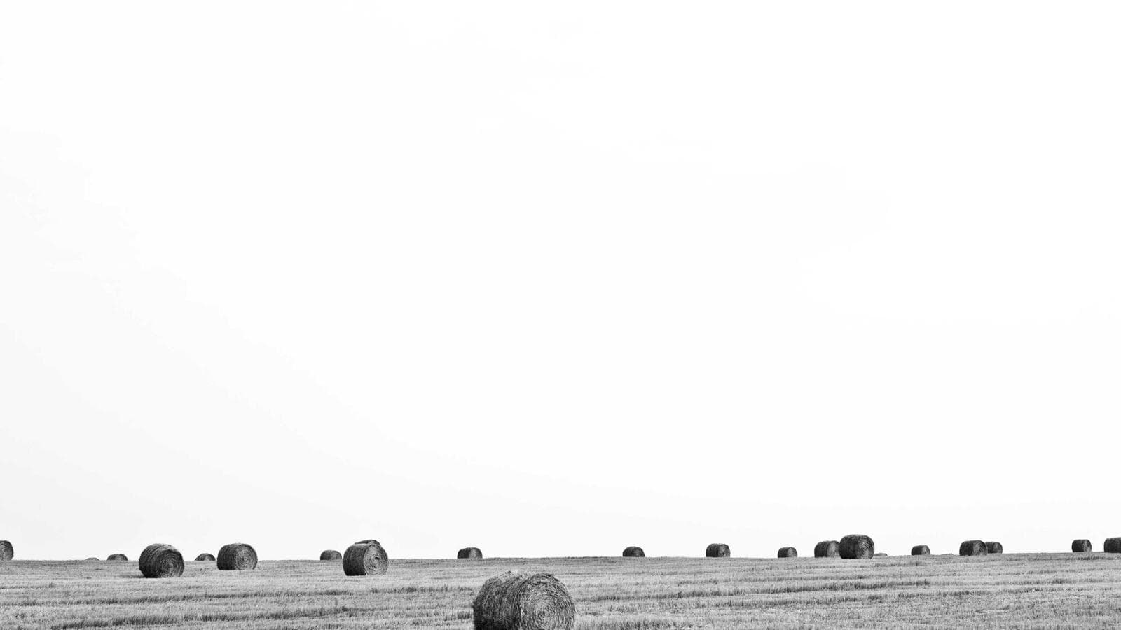 2026年の荒れ相場を生き抜く — パニック代わりにプロセスを守る5つの原則