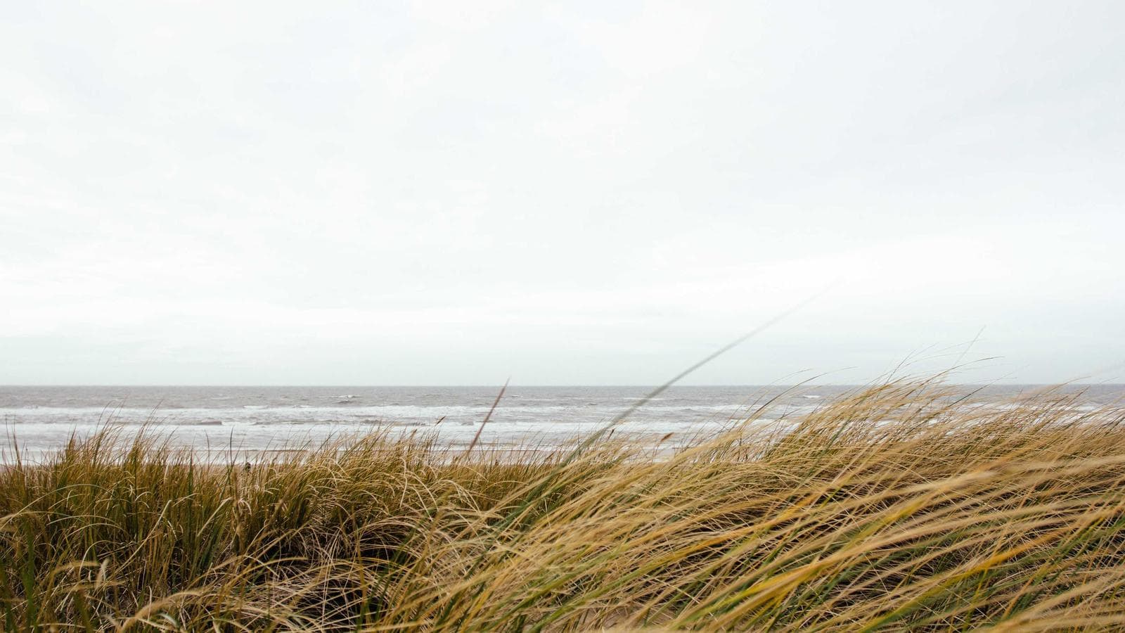 The 10% Rule and the Over-Diversification Trap — Why You Need Balance, Not Diversification