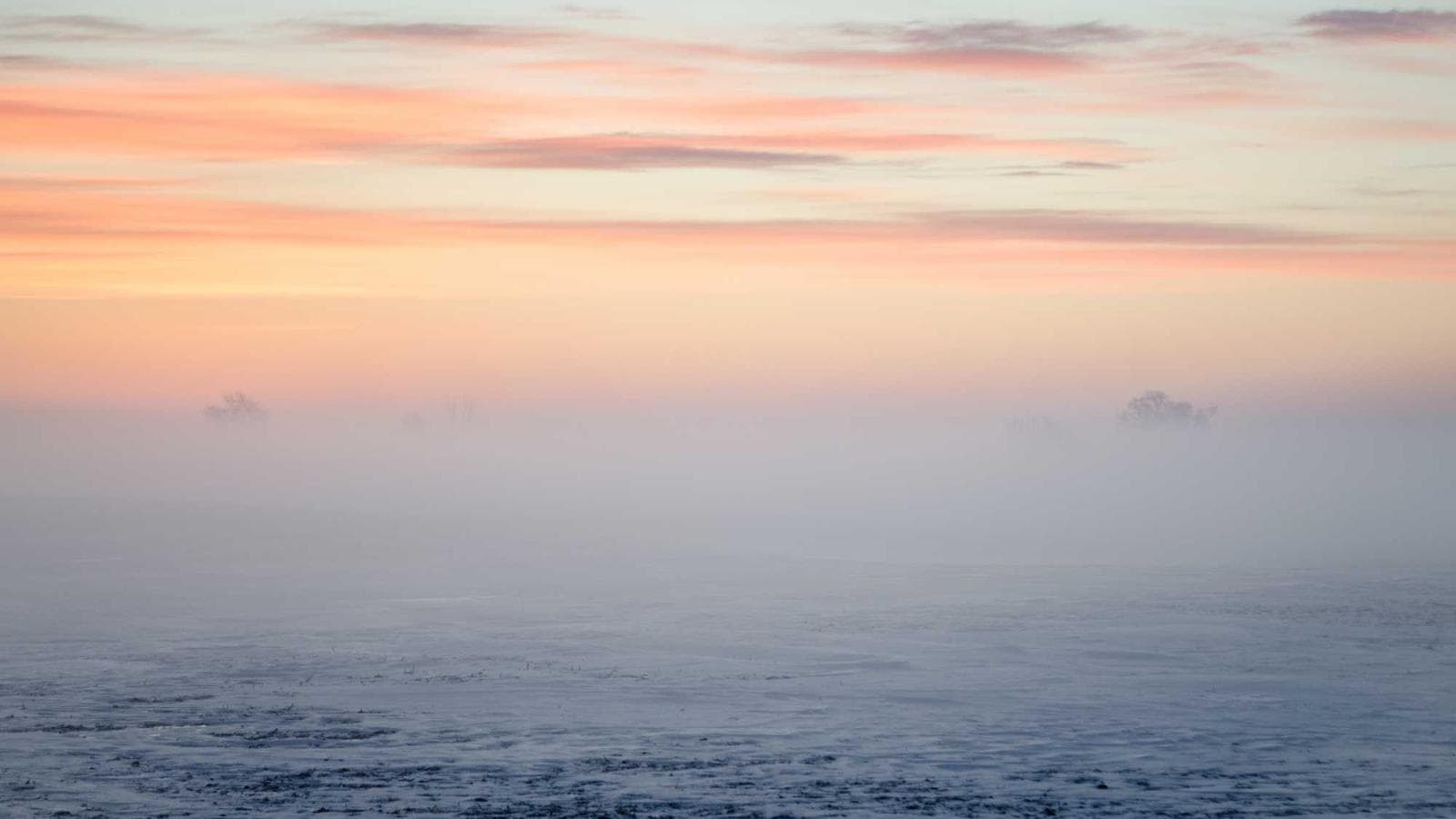 50만 달러로 월 4천 달러 패시브 인컴: 하이브리드 배당 포트폴리오 전략