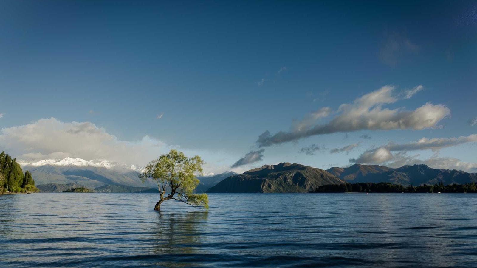 2008년 금융위기 때 S&P 500에 투자했다면? 적립식 투자의 놀라운 회복력