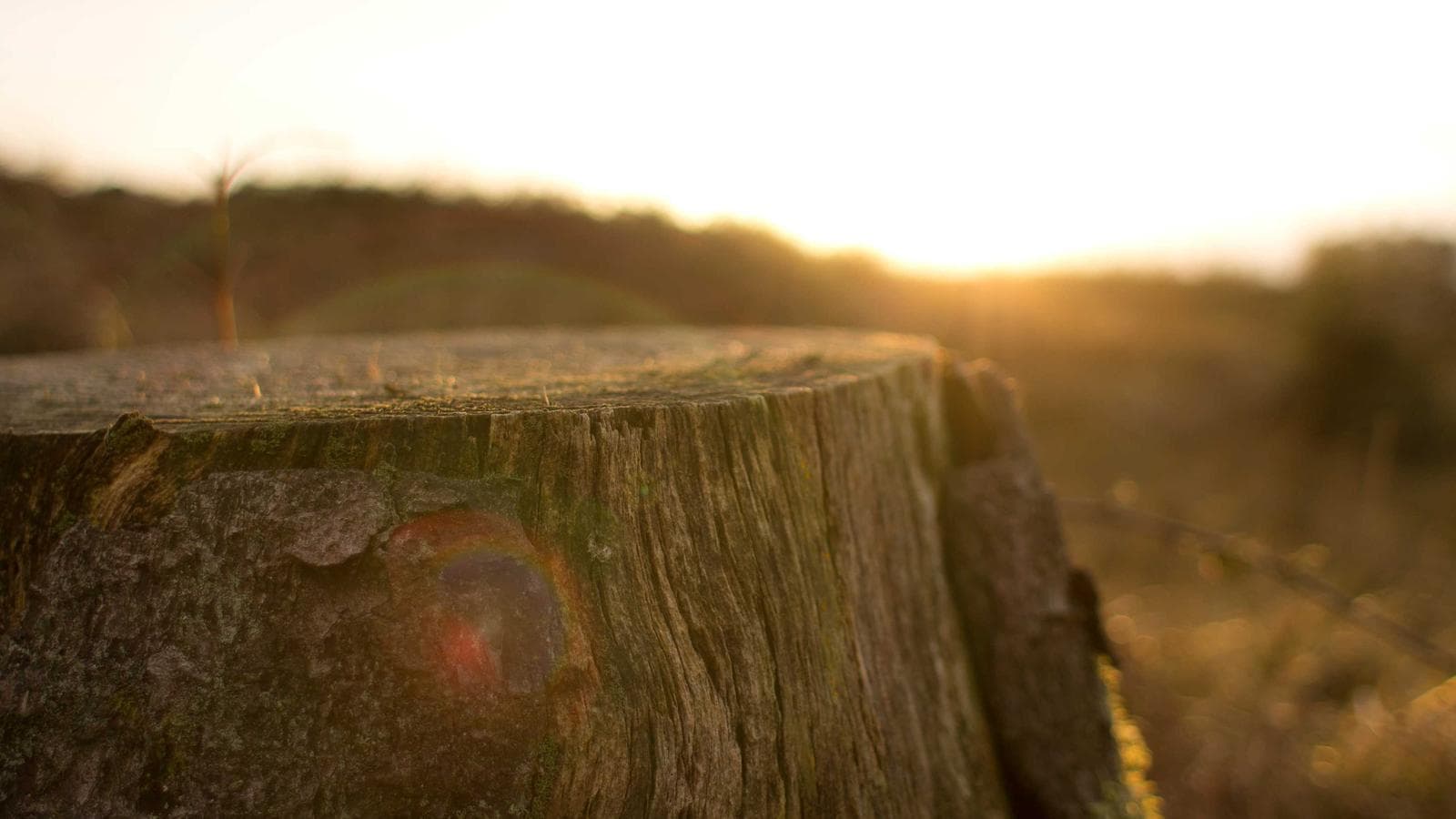 우버 주식 분석: 시장점유율 76%의 거인, 지금 저평가됐을까