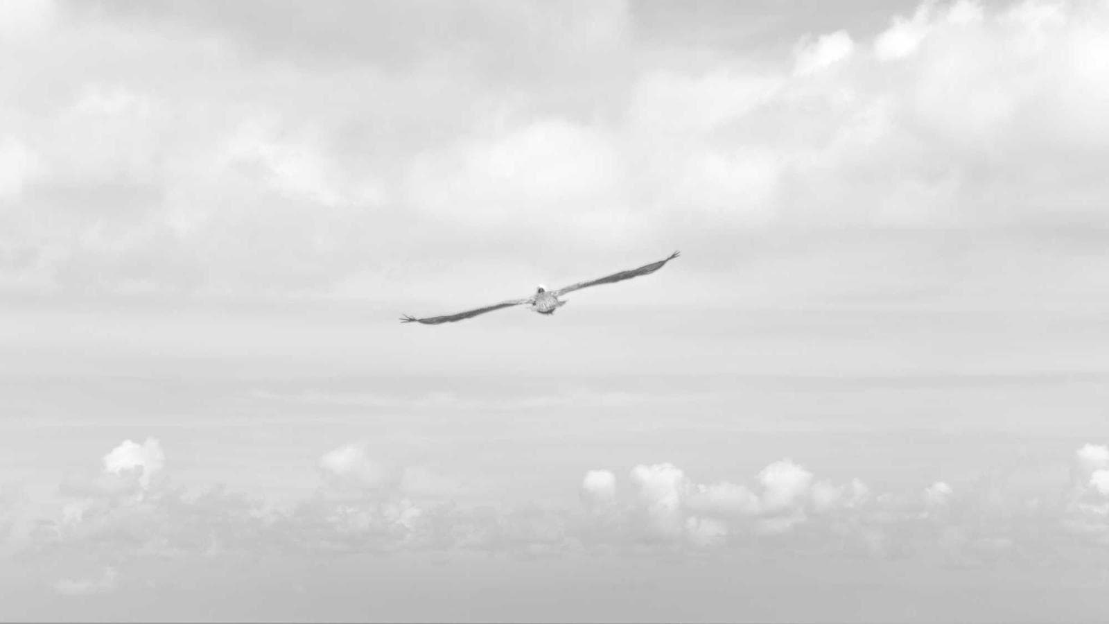 2026년 로빈후드 완벽 시작 가이드: 계좌 개설부터 첫 입금까지