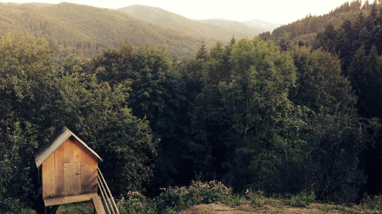 숨겨진 가치주와 로봇 혁명: Nokia, Mizuho, 현대자동차