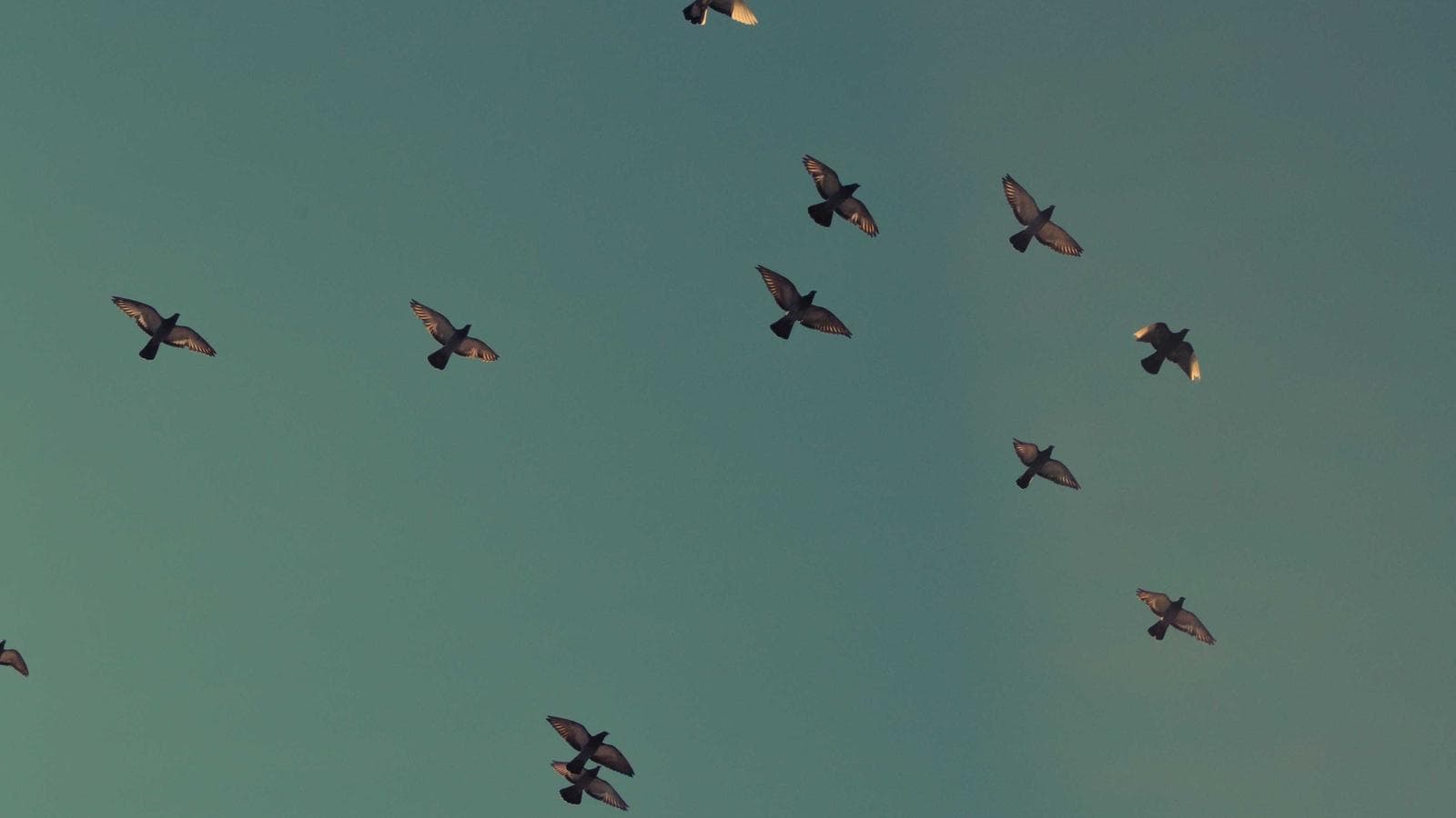 부자가 되는 사소한 돈 습관 7가지 - 지금 당장 시작할 수 있는 것들