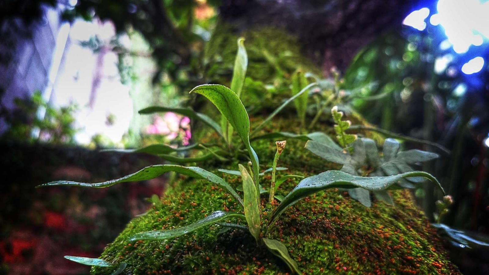 お金持ちへの第一歩：高金利貯蓄口座とクレジットカード完全ガイド