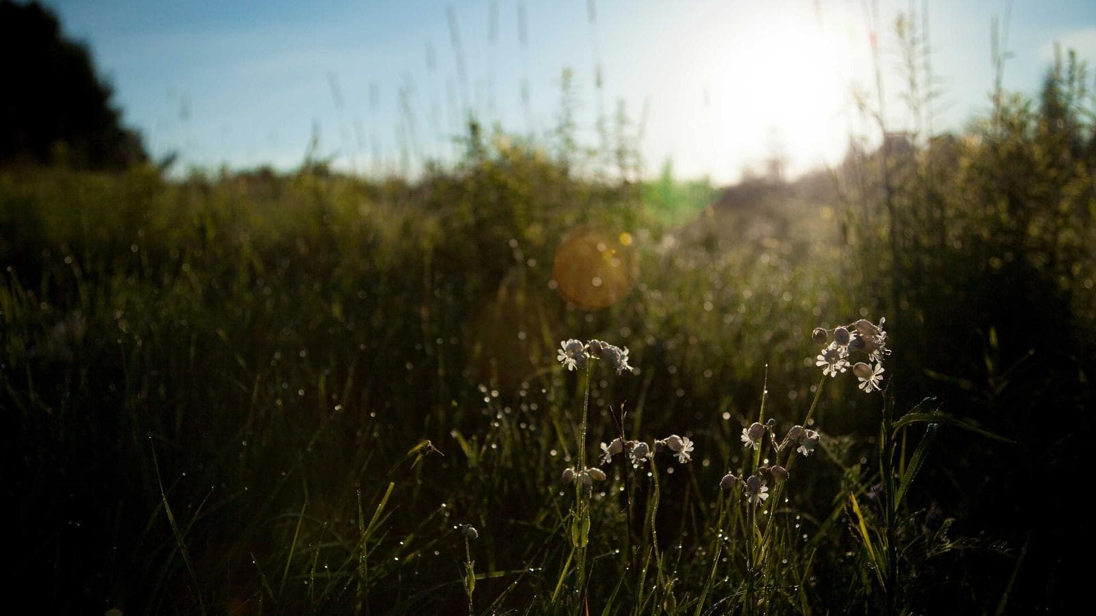 Alphabet (GOOGL) at $3.87T — Dissecting the Four Businesses: Search, YouTube, Cloud, Waymo