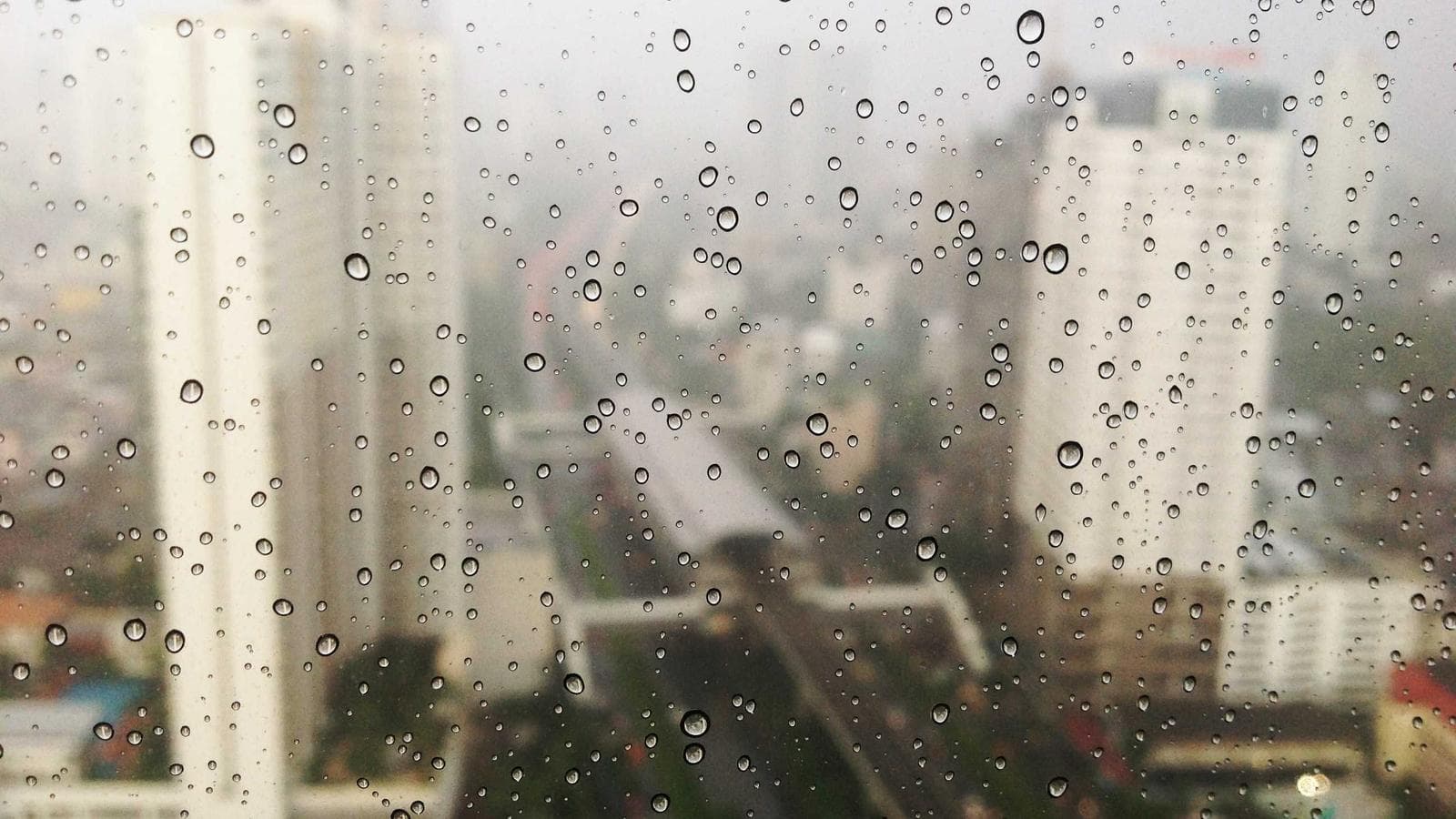 半導体だけが持ちこたえている — SMH $372崩壊がナスダックを危険にする理由