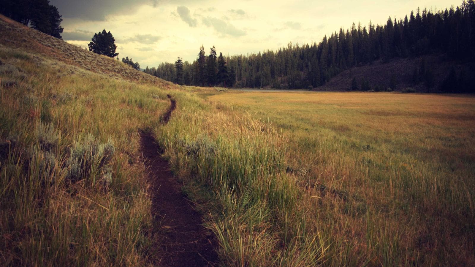 AI 실리콘 스택 4대 병목 — Micron, Amkor, Broadcom, Marvell 한 층씩 해부