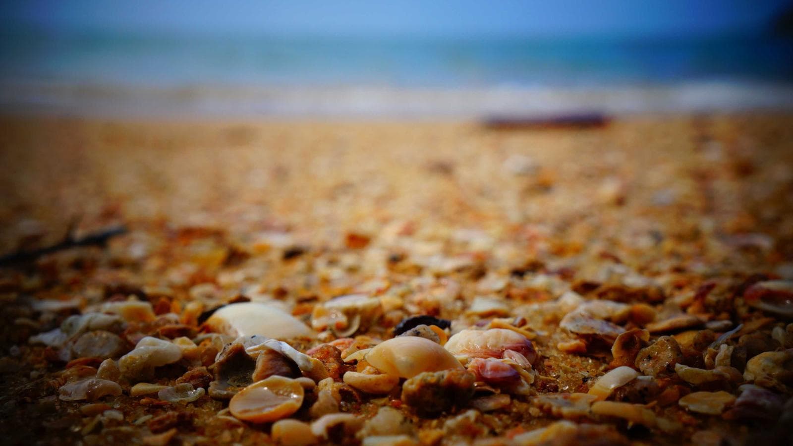 4 Reasons Why AI-Battered Software Stocks Are a Buy Right Now