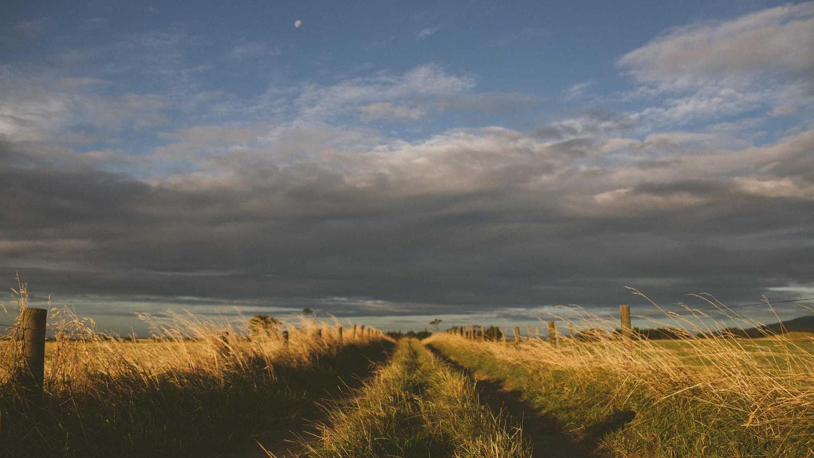 韓国株で生き残る方法：輸出90%＋外国人持株比率60%の法則