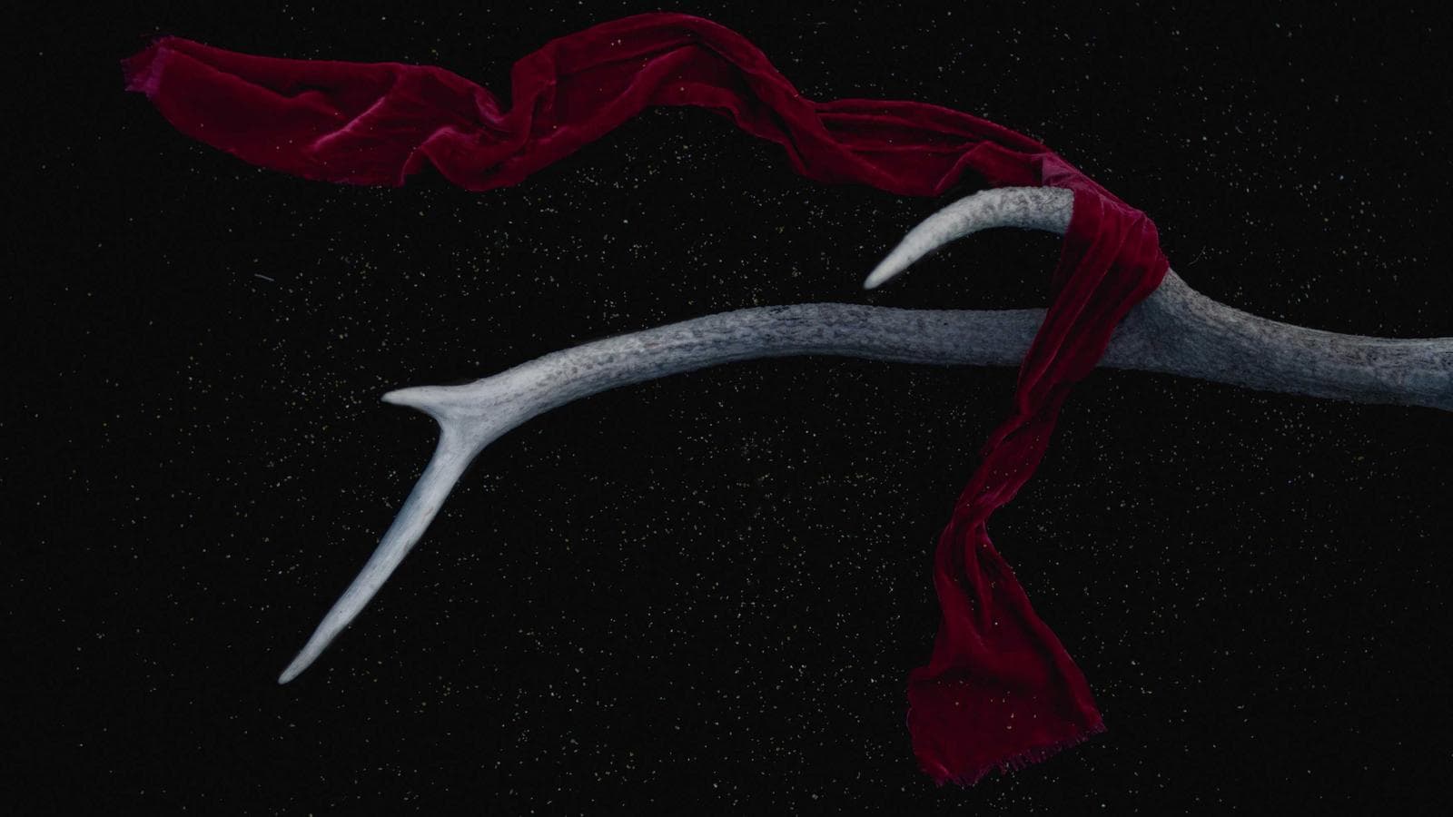 Trading Without Backtesting Isn't Strategy — It's Gambling