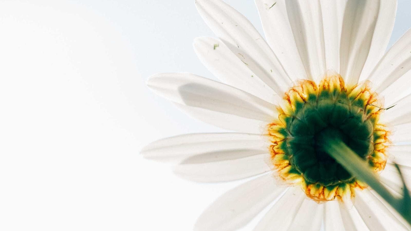 サブスク過多：毎月漏れていくお金を止める方法