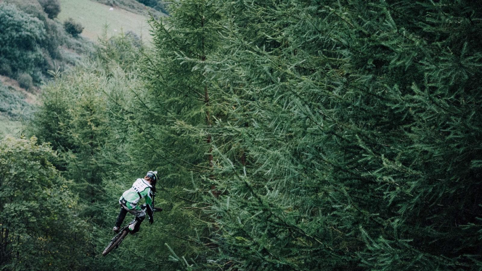 ETF Dividends in Taxable Accounts: Why the Wrong Pick Could Cost You 30% in Returns