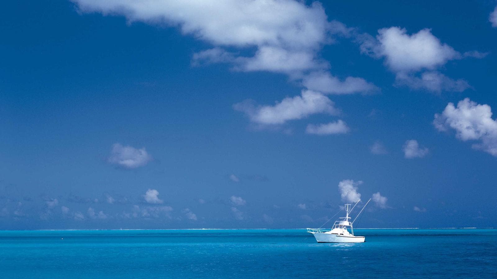 Realizing 200% Palantir Gains With Zero Taxes: How a Donor-Advised Fund Actually Works