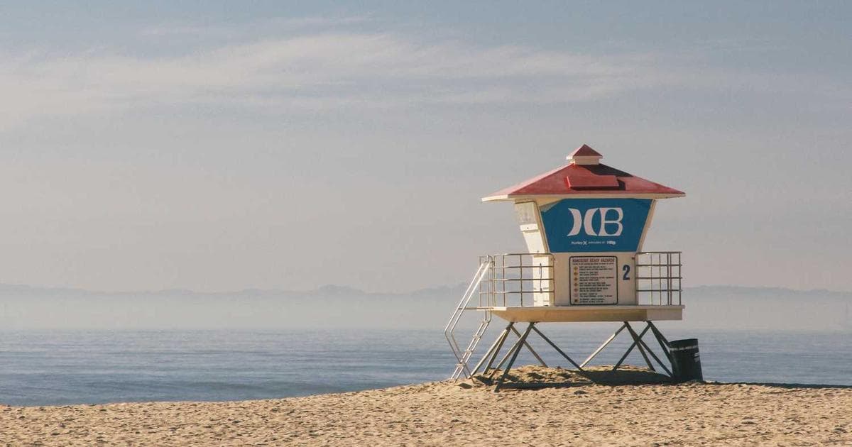 AI 시대의 기술 거인: Google과 Adobe의 성공적인 AI 전환 전략