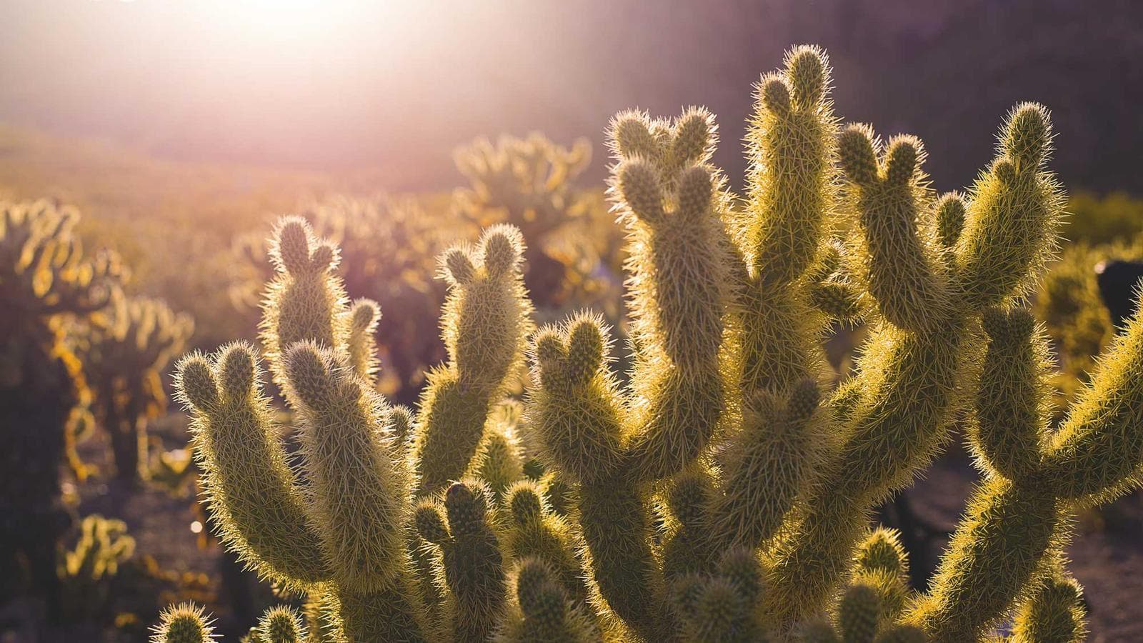 Complete Tech Stock Analysis for Late 2025: From Nvidia to Tesla