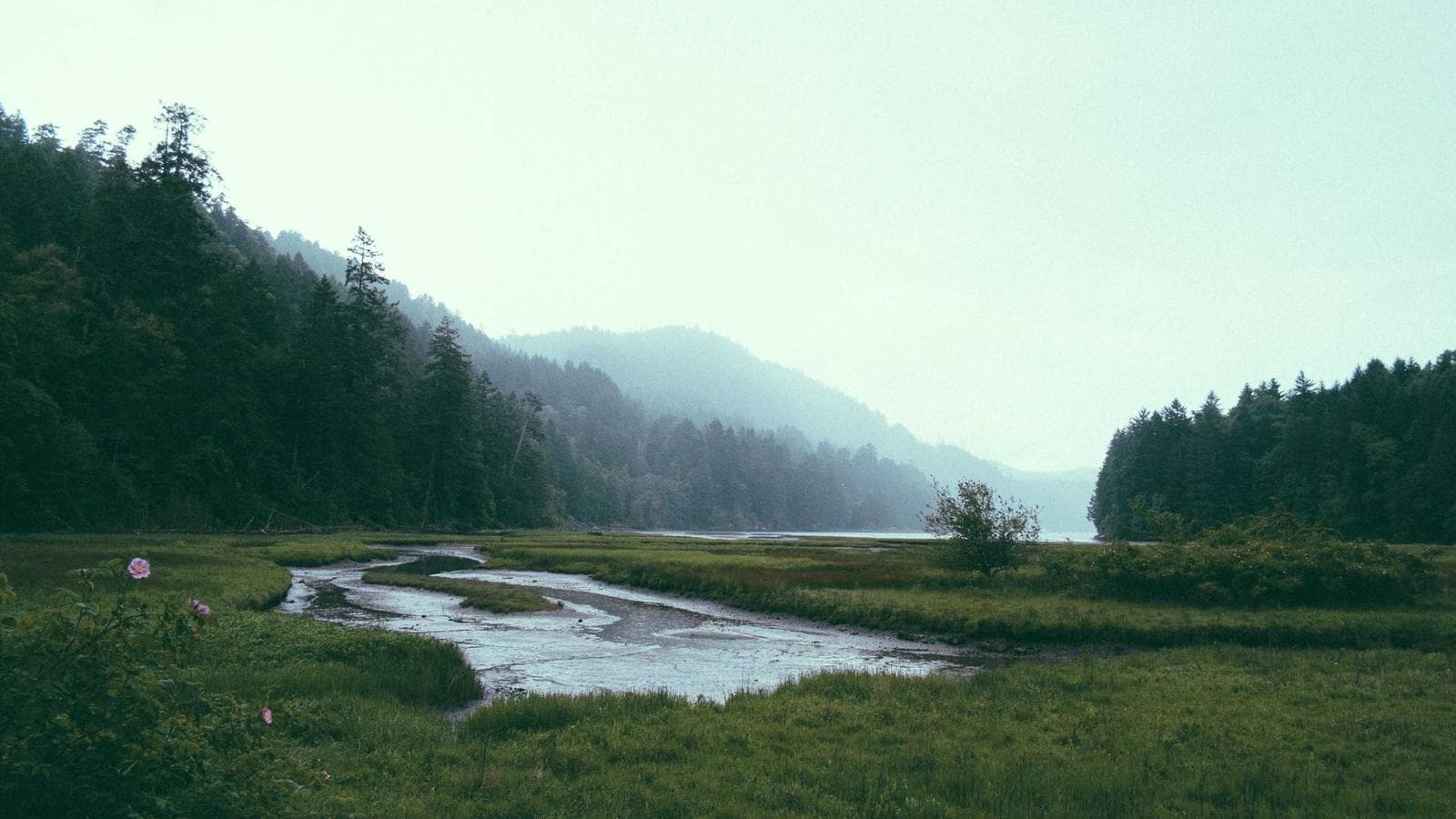 이번 주 매수·매도 핵심 종목 5선: 아마존부터 엔비디아까지