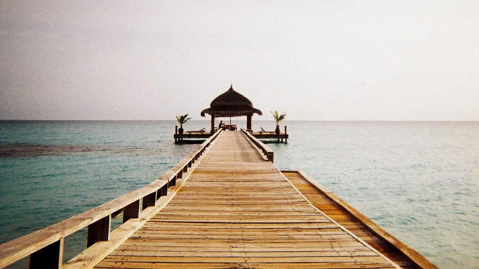 SCHD vs VTV 완벽 비교: 두 가치 ETF의 핵심 차이점 총정리