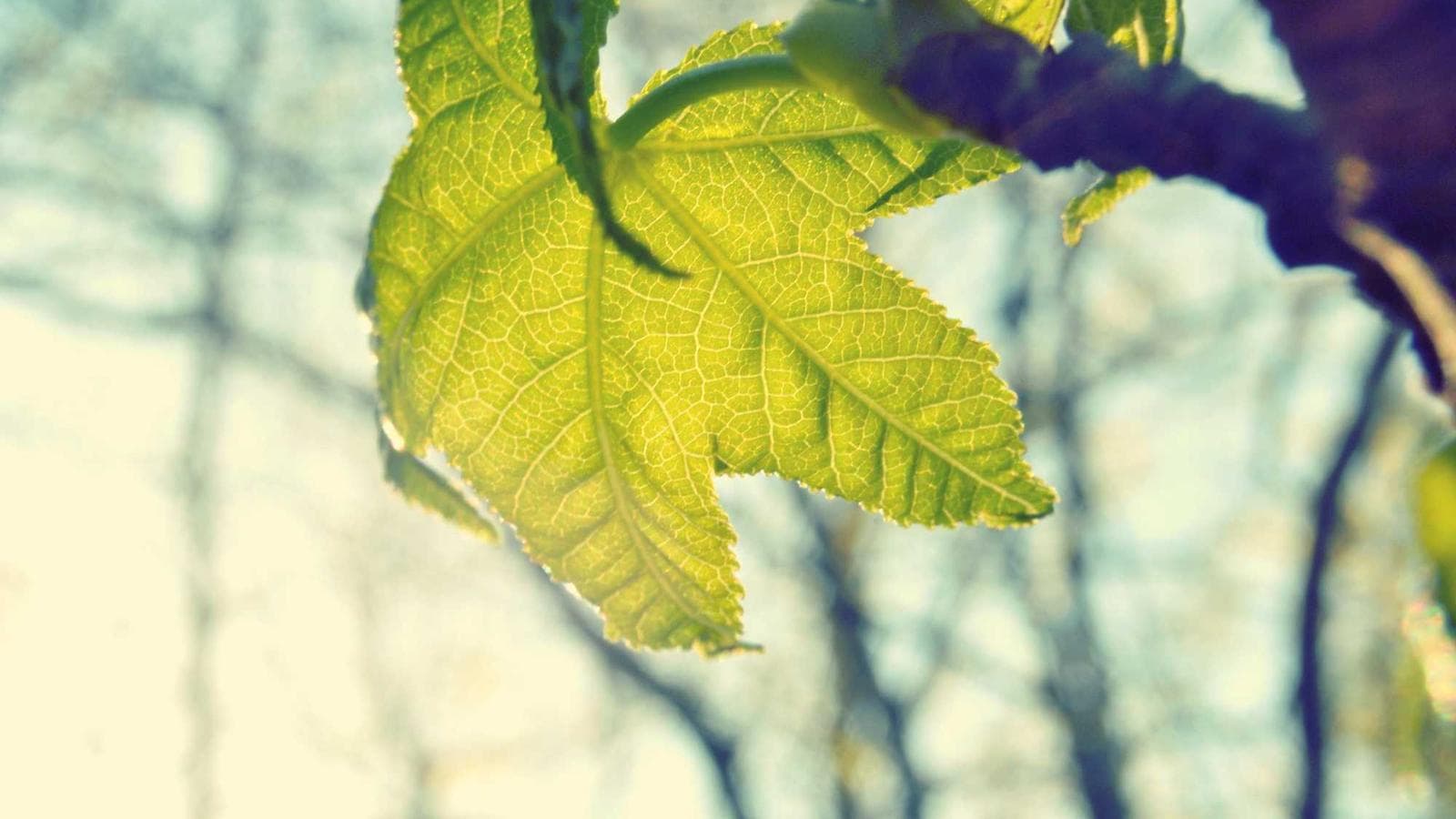 주가가 떨어졌다고 모두 저평가는 아닙니다: 가치투자의 핵심