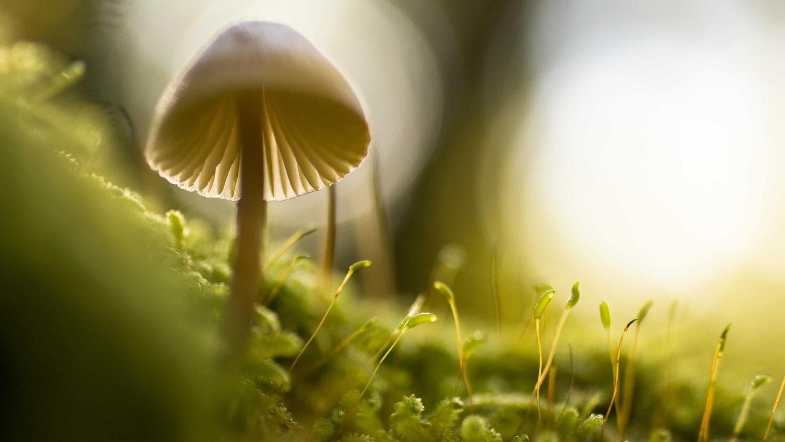 프라이빗 크레딧 위기 — CLO와 2008년의 그림자가 월가를 덮고 있다