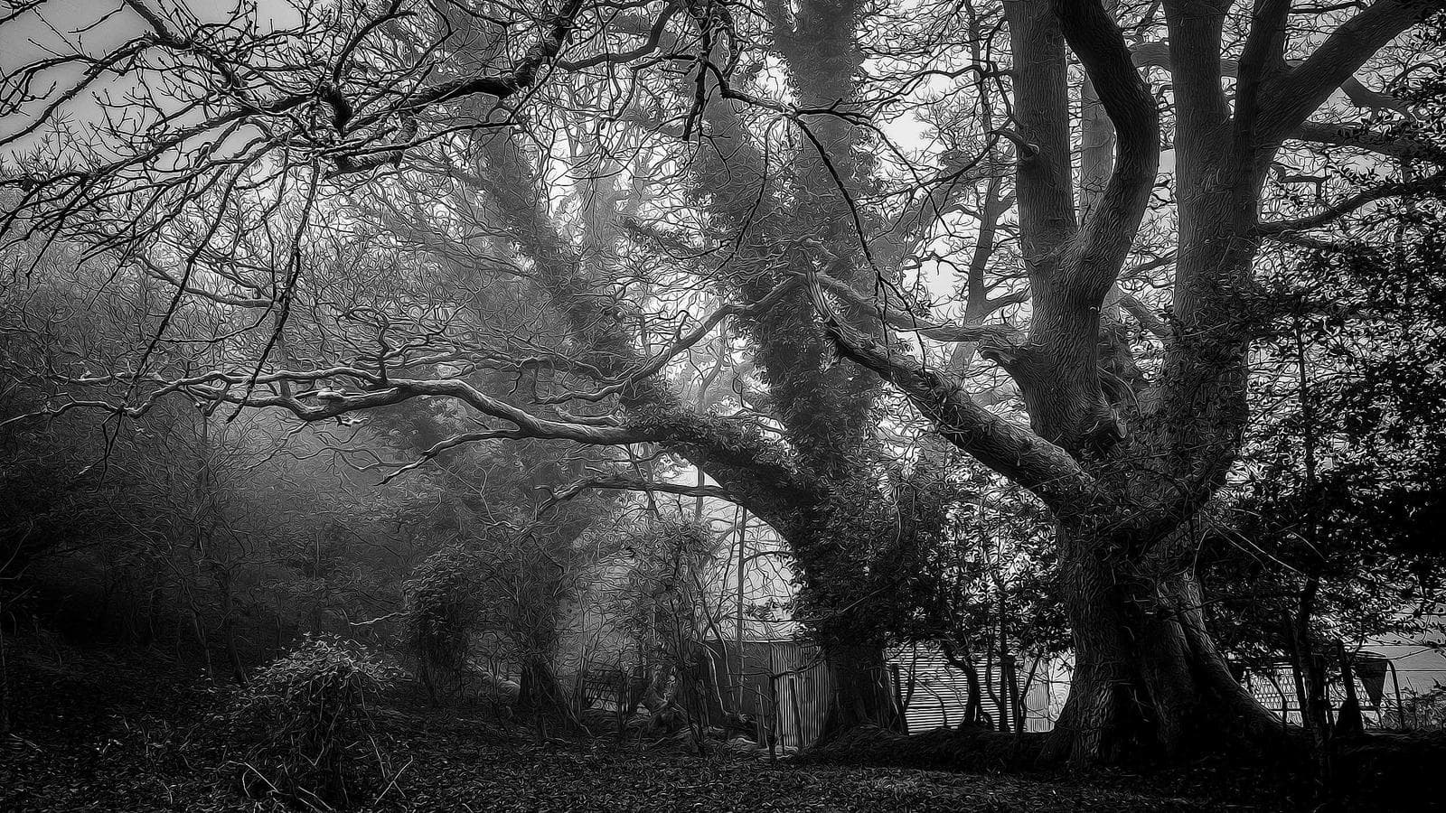 The 6 Stages of Wealth — Most People Never Get Past Stage 4