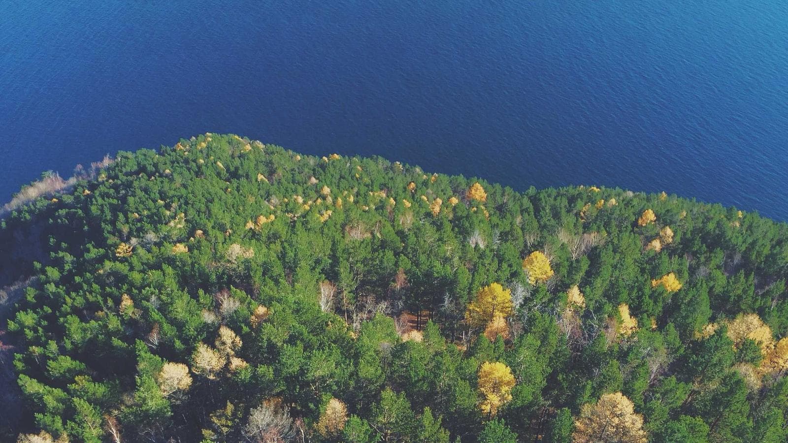 고배당 ETF의 함정: SDIV와 DIV에 투자하면 안 되는 이유