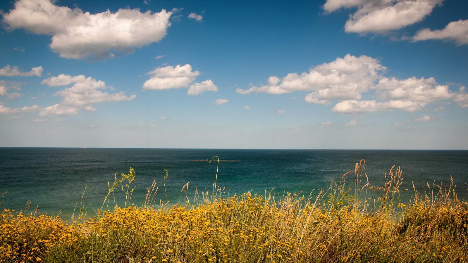 인덱스 펀드 수수료 0%의 복리 마법, 30년 뒤 얼마나 차이 날까